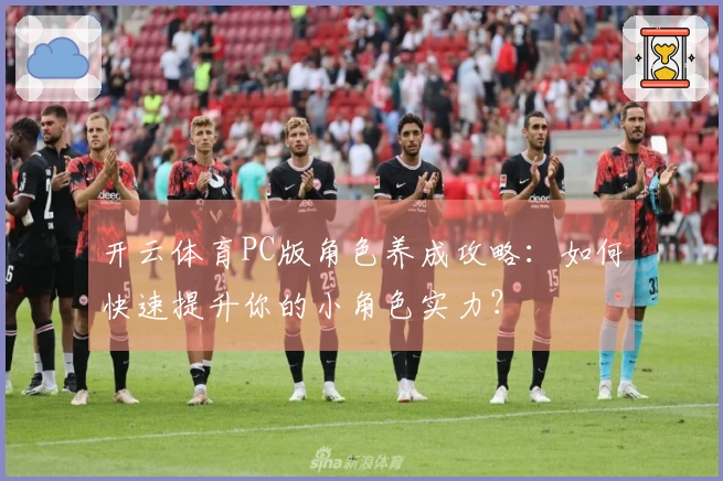 开云体育PC版角色养成攻略：如何快速提升你的小角色实力？