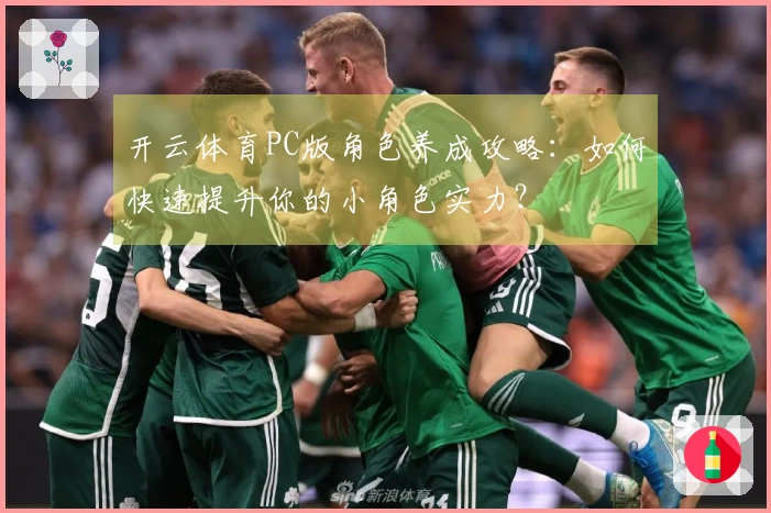 开云体育PC版角色养成攻略：如何快速提升你的小角色实力？